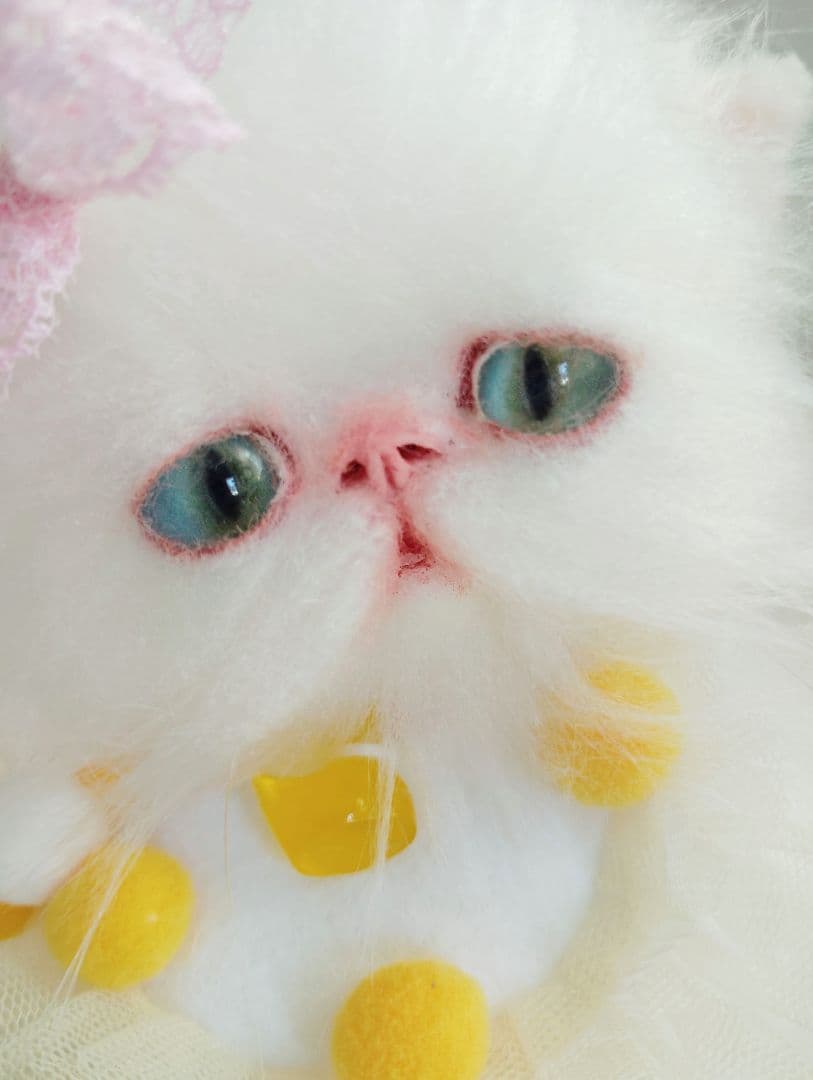 まなあきちゃん御予約❤️生後3ヶ月♡天使みたいな♡子猫ちゃん♡アートドール♡