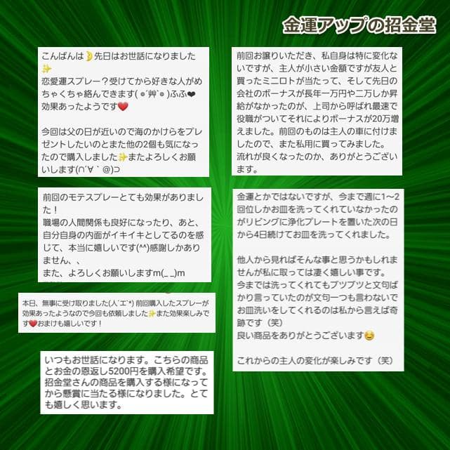 金運アップブレスレット『金運爆上げブレスレット（金運×財運）』3210