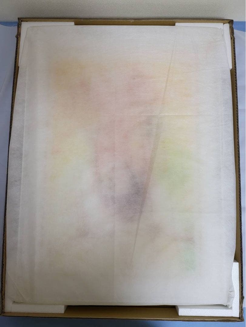 版画 てぃんくる カナリヤDX アールビバン ミクスドメディア 番号18/35