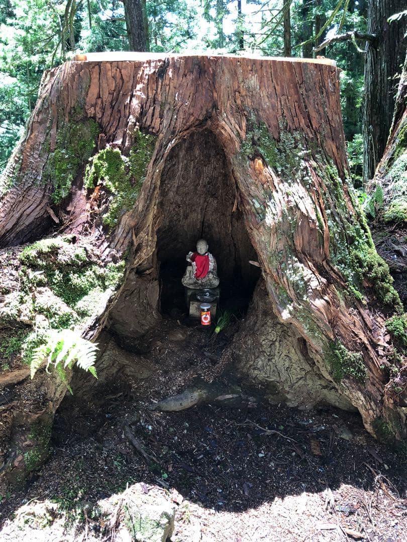 高波動セラミックス／密教 ☆ 結界と浄化 ブレスレット 内径 15 ㎝