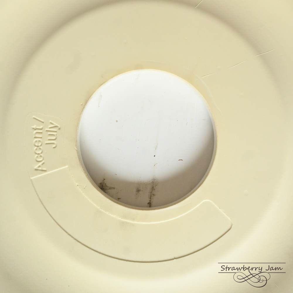 ICO-283 イギリス メダリオン 天井装飾 照明 オブジェ シャンデリア