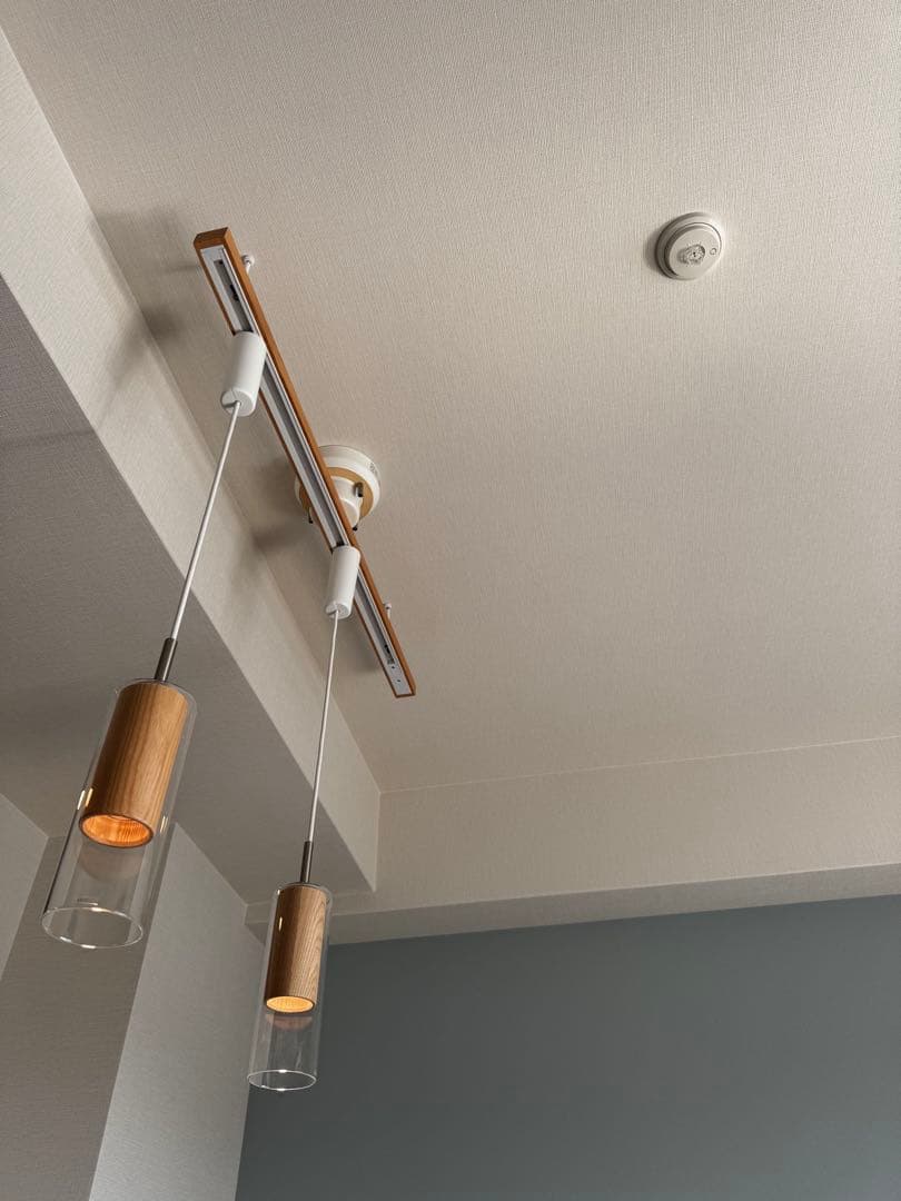 2本セット・廃盤品・希少】オーデリック ペンダントライト OP252900BR