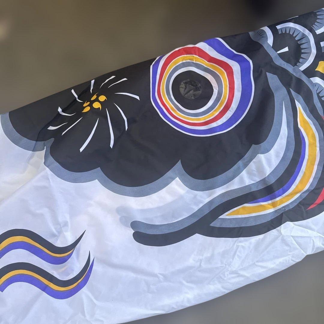 カラフル鯉のぼりセット　太郎鯉