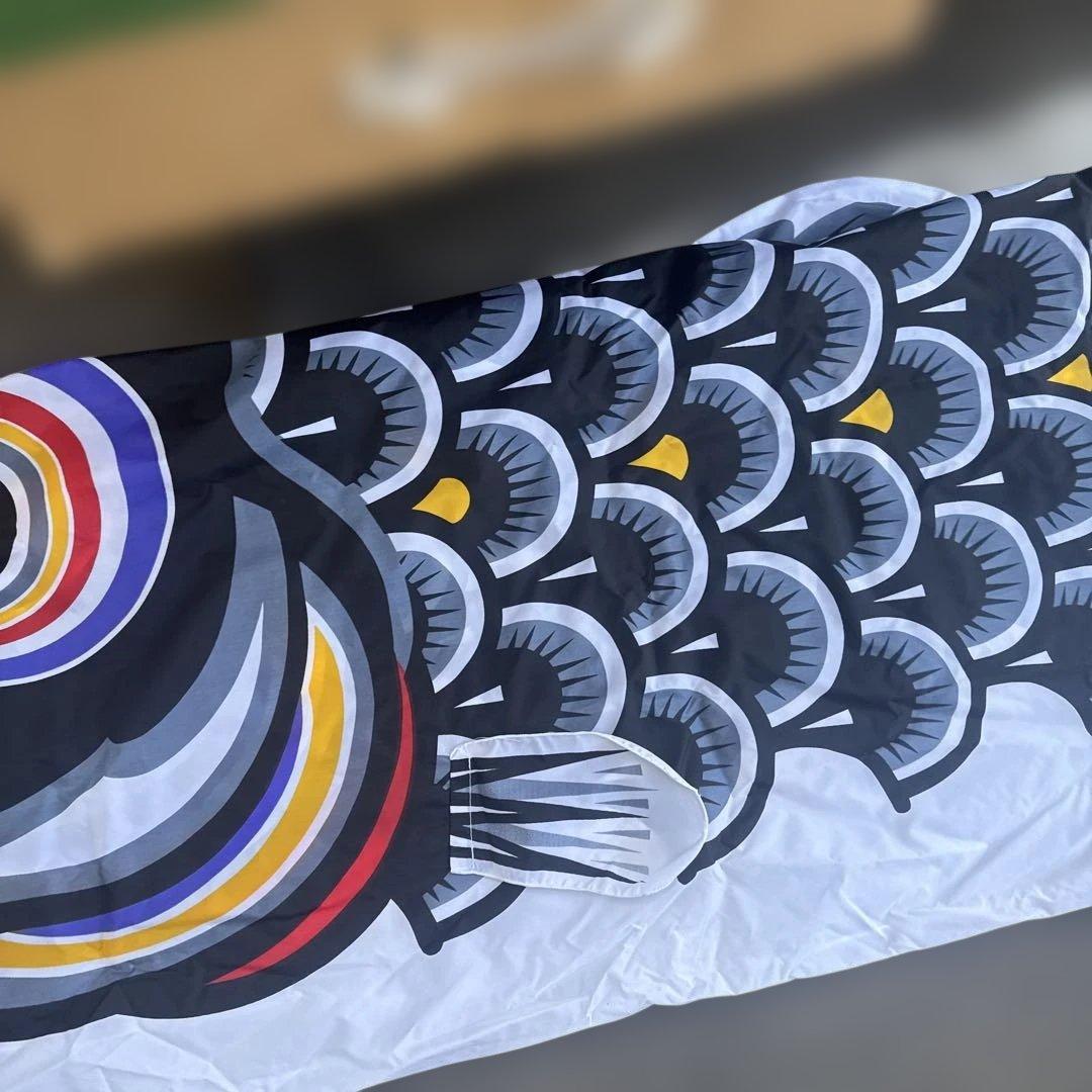 カラフル鯉のぼりセット　太郎鯉