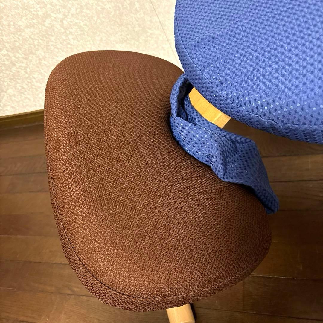 【美品】バランスイージー ブラウン ブルーカバー 通常フレーム オプション付き