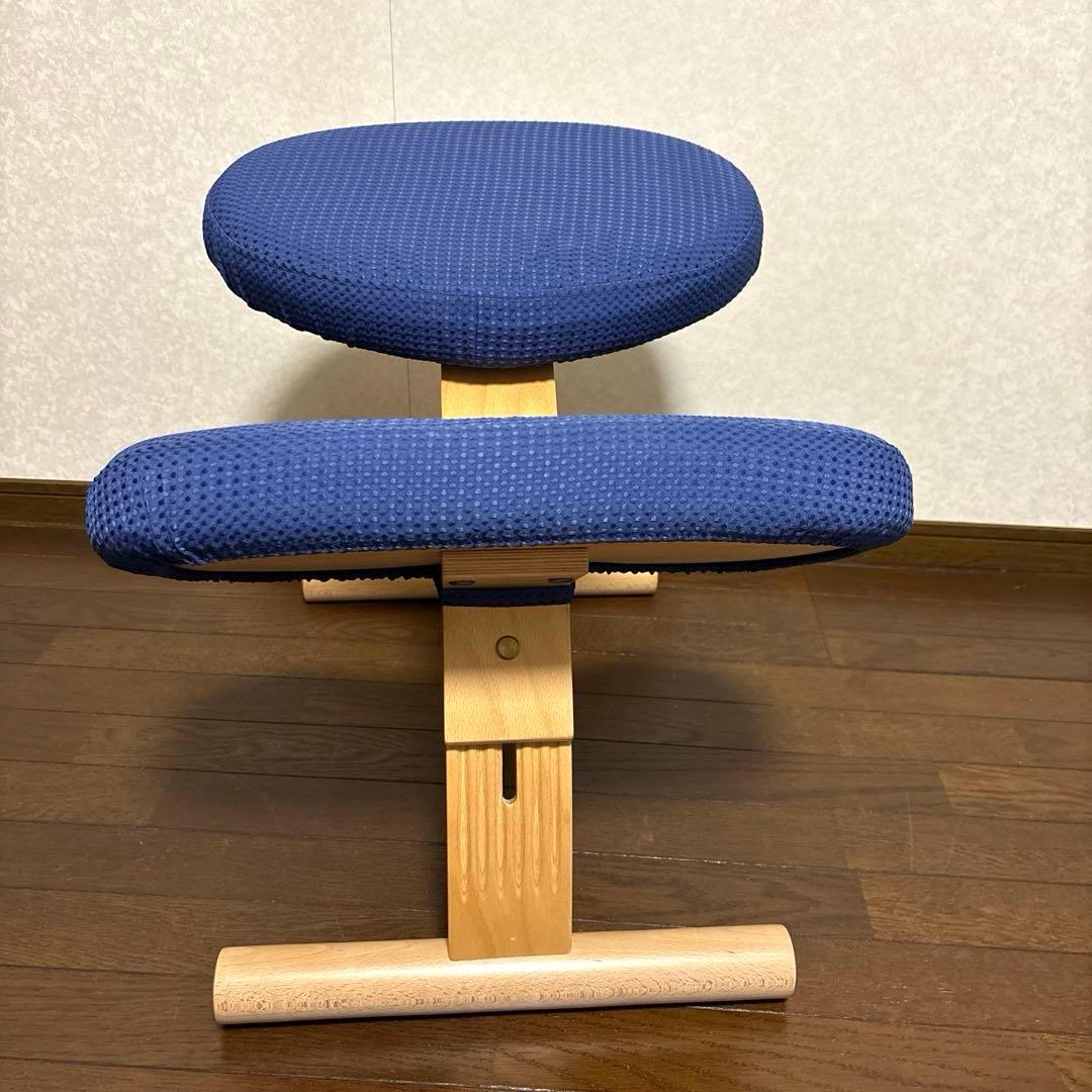 【美品】バランスイージー ブラウン ブルーカバー 通常フレーム オプション付き