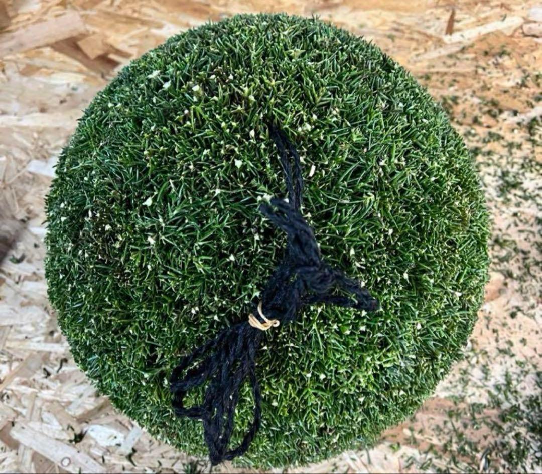 杉玉 約30センチ‼️縁起物 丸くて幸せ 家族円満♪ - メルカリ