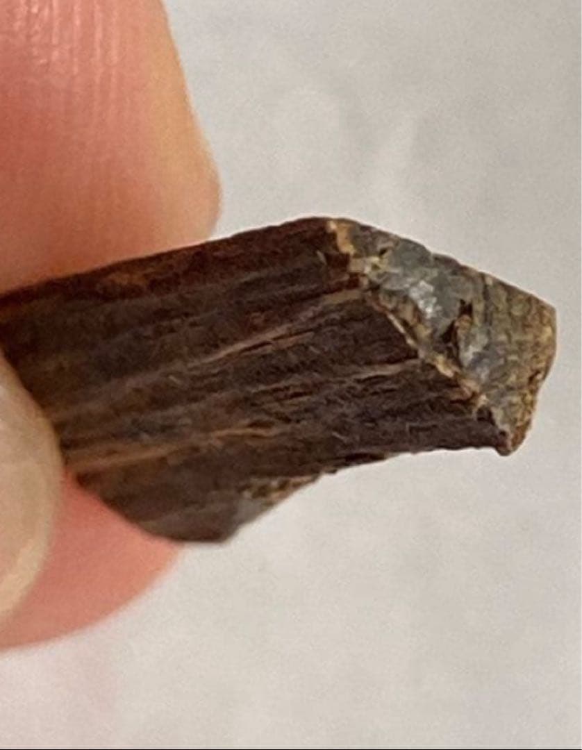 沈香　香木　タニ　三種　お香　3.4グラム