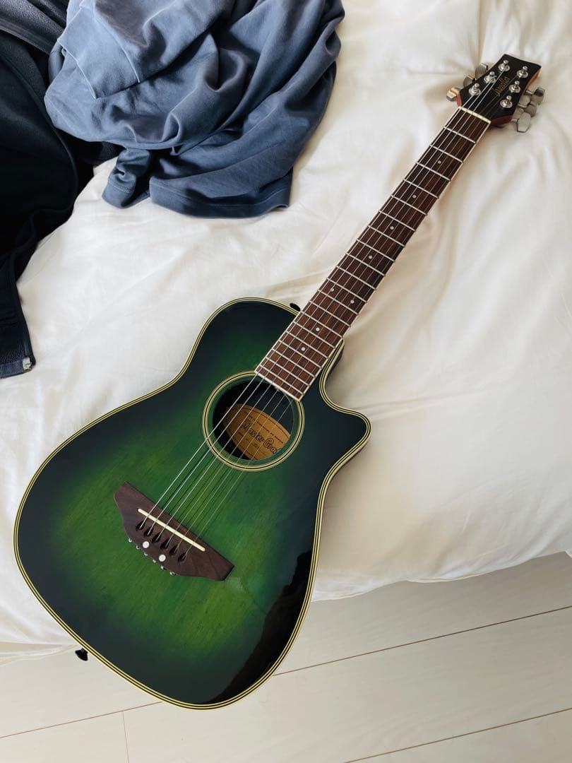 マスタークラフト ミニエレアコギター