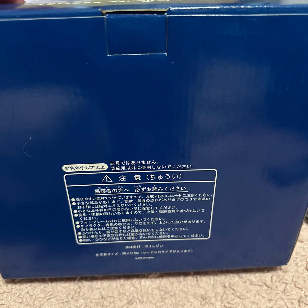 東京ディズニーリゾート フォトフレーム わんわん物語