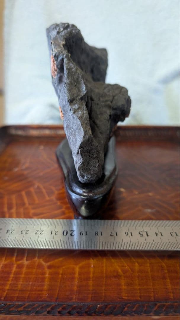 赤花菊花石 鑑賞石 盆石