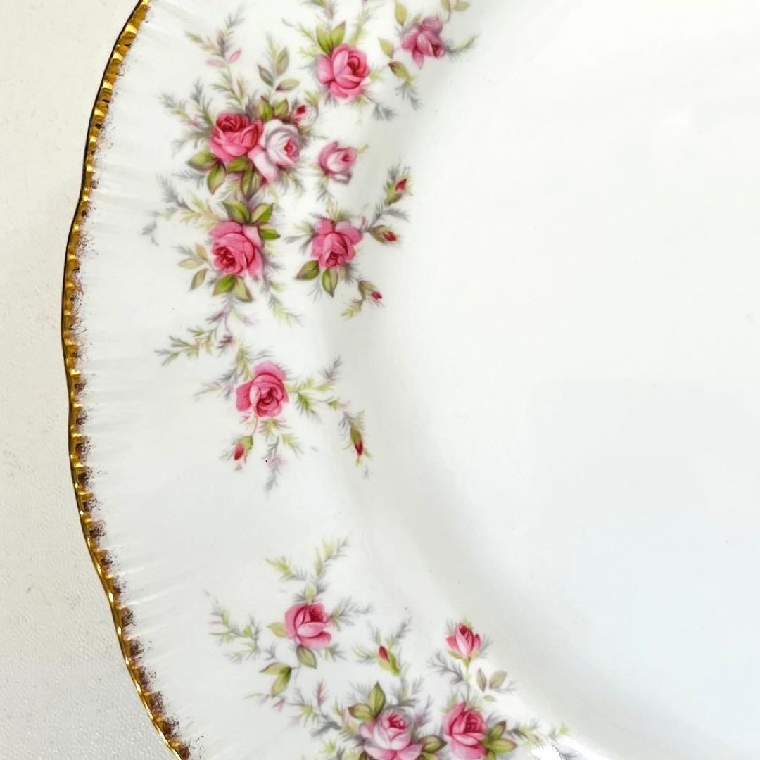 パラゴン  VictorianaRose  ヴィクトリアナローズ ディナー　６枚