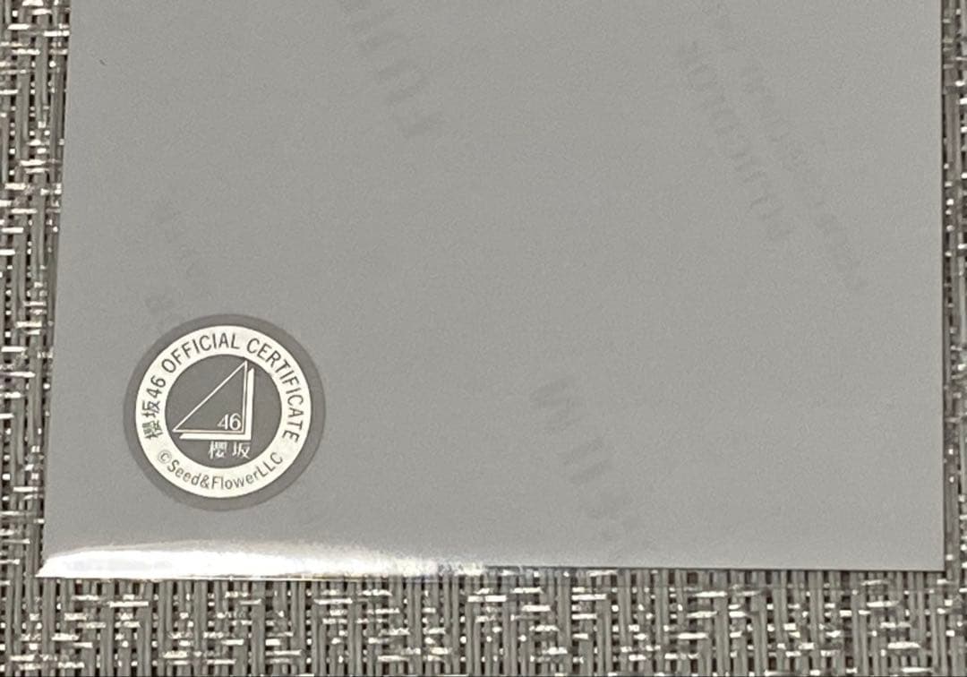 櫻坂 46 山田桃実 2025年サンタ衣装 サイン - メルカリ