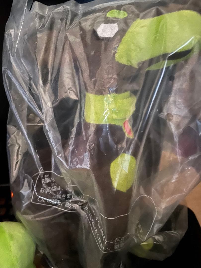 ポケモンfit ジガルデ 10% 50% パーフェクトフォルムセット