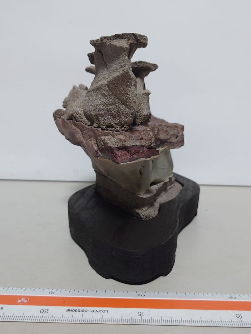 土佐鎧石　　水石 鑑賞石