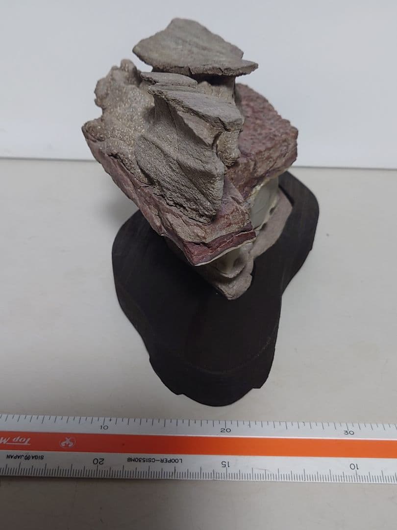 土佐鎧石　　水石 鑑賞石