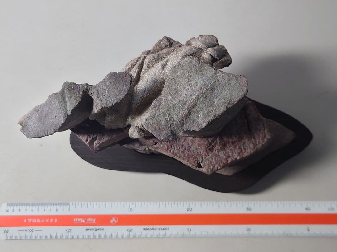 土佐鎧石　　水石 鑑賞石