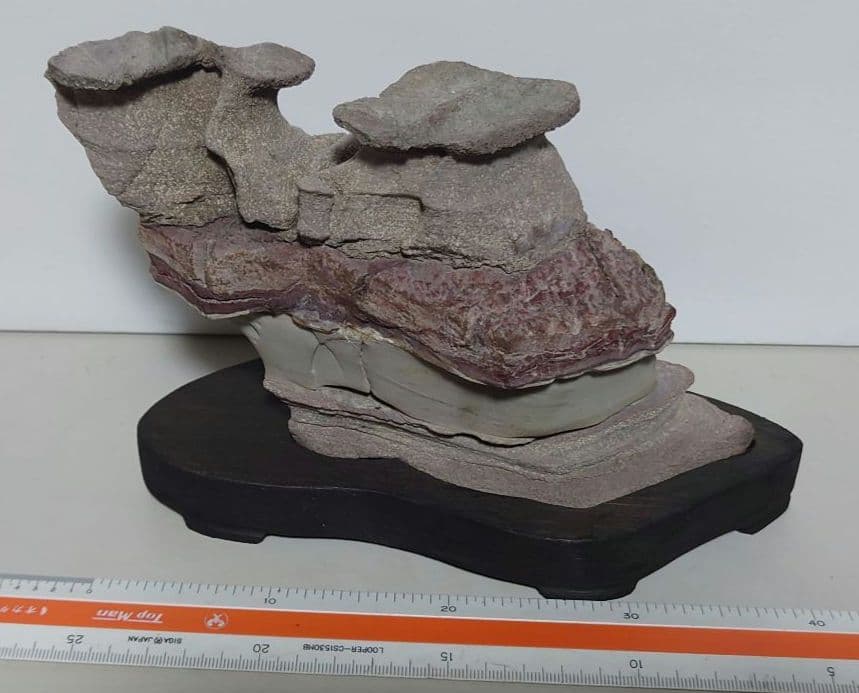 土佐鎧石　　水石 鑑賞石