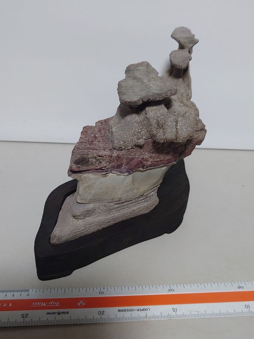 土佐鎧石　　水石 鑑賞石