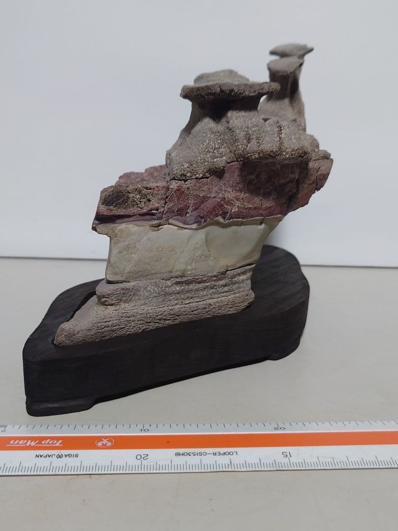 土佐鎧石　　水石 鑑賞石