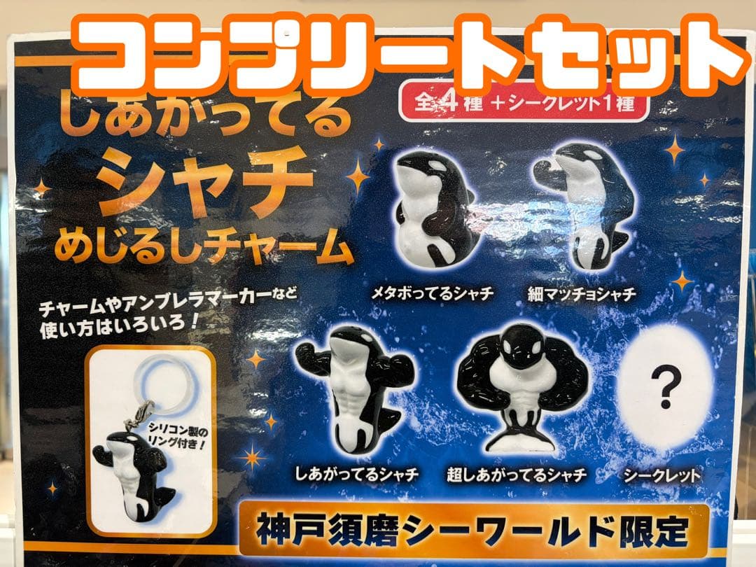 須磨シーワールド しあがってるシャチ めじるしチャーム コンプリート