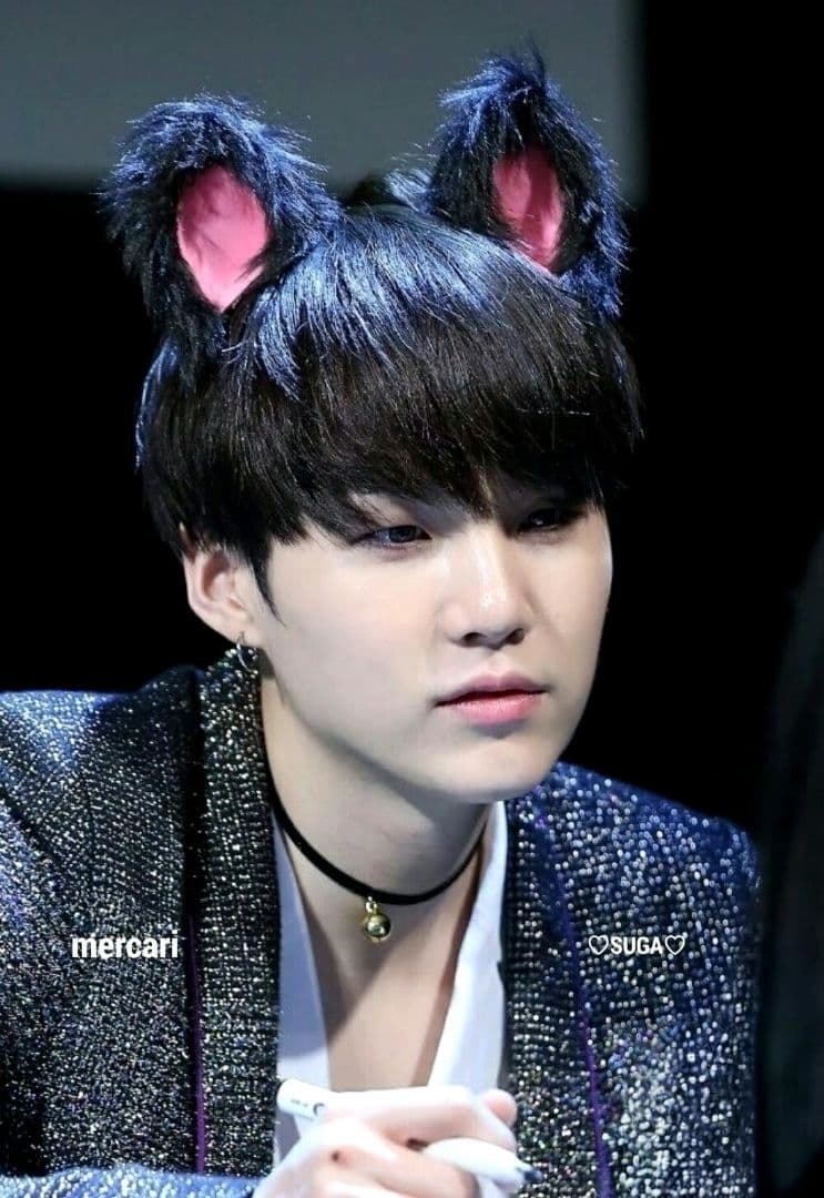 BTS ぬいぐるみ 10cm SUGA AgustD ユンギ テテ ジン ジミ