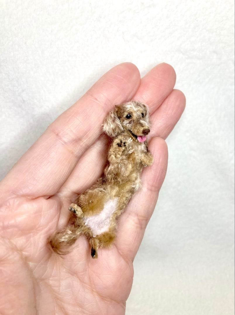 モールアート☆ミニダックスダップル☆へそてん