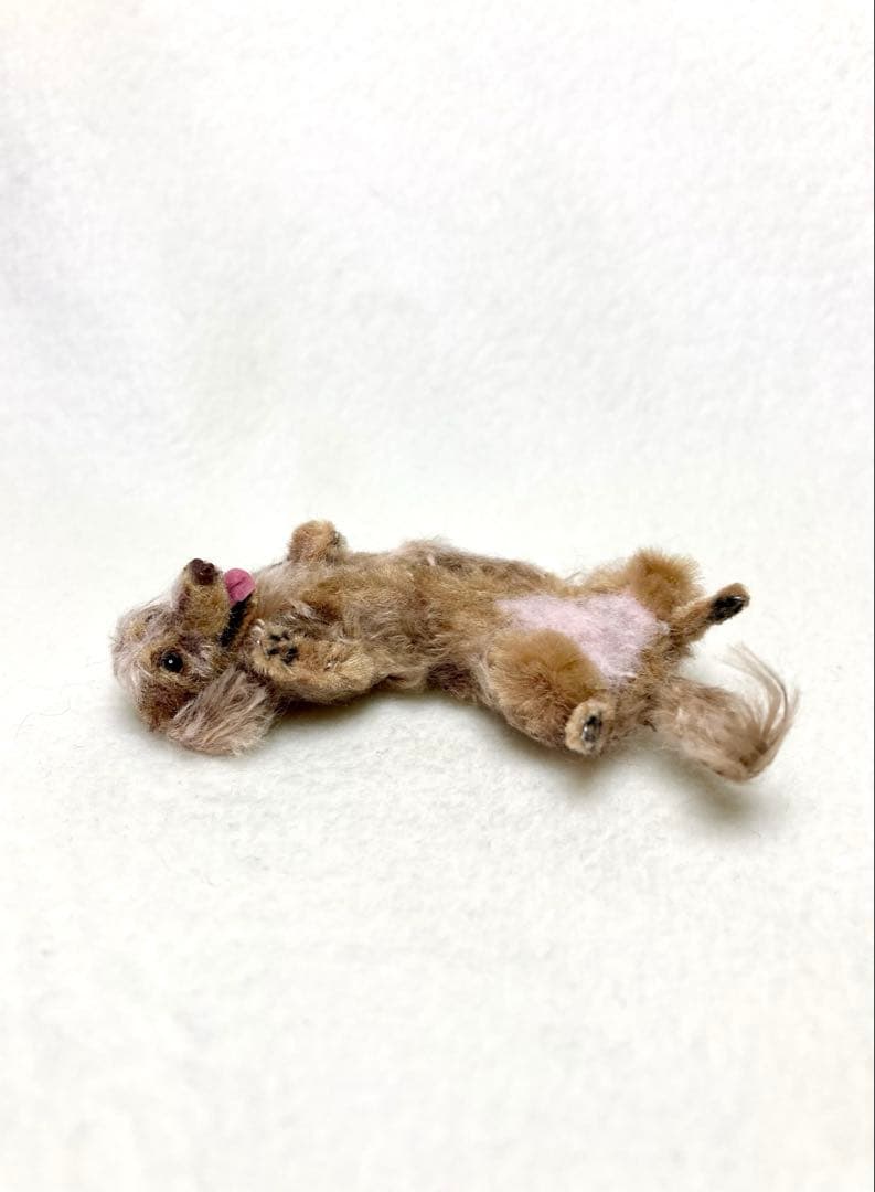 モールアート☆ミニダックスダップル☆へそてん