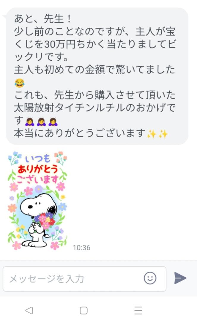 式神封入ガーデンアメジスト[uyB7f19]12mm　天然　愛守護石　恋愛　癒し