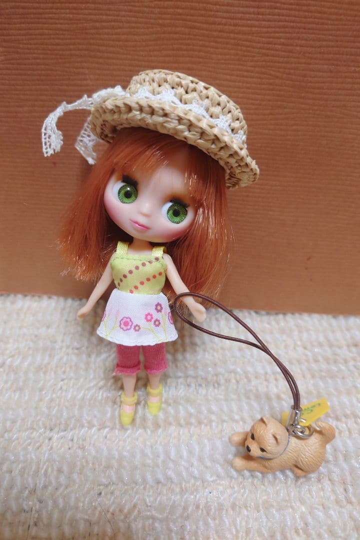 レア!!littlest petshop（リトルペットショップ）プチブライス