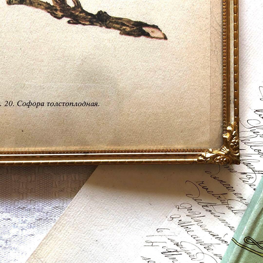 RV82 真鍮フォトフレーム24.5×18.5 北欧ヴィンテージ