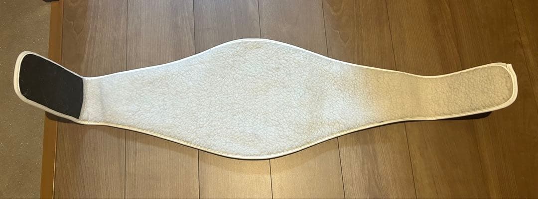 伝説の猛女様専用 ISKAチャンピオンベルト レプリカ - メルカリ