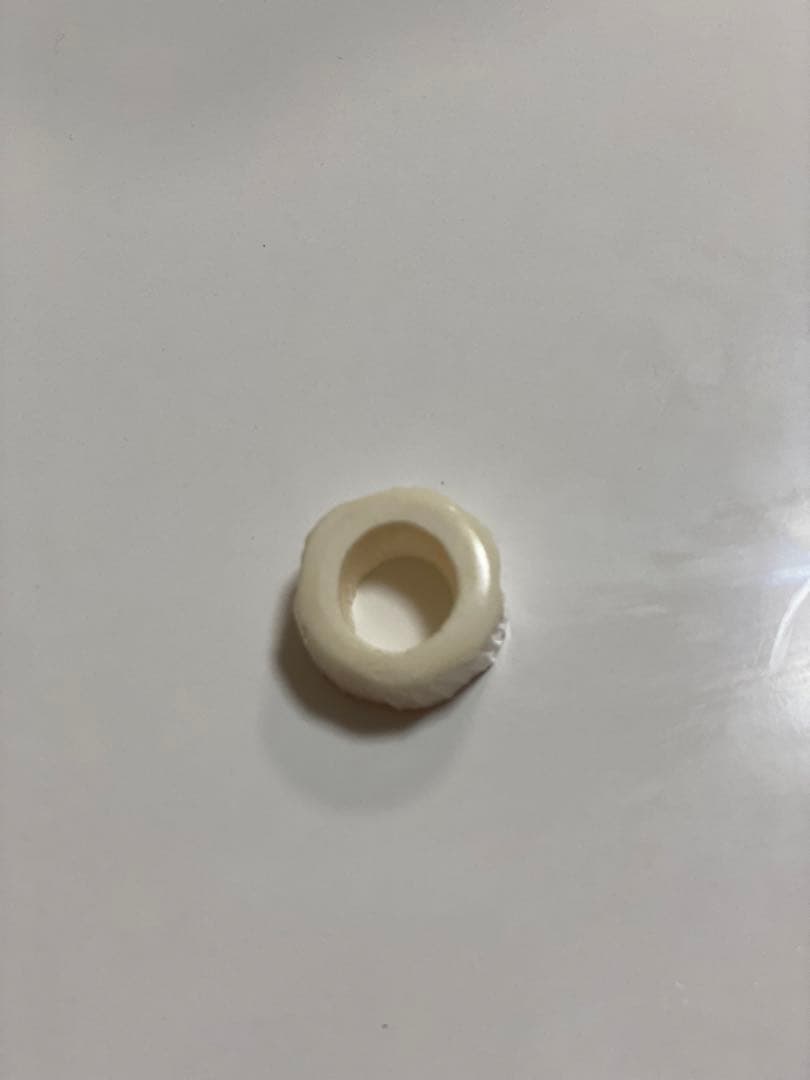 ウニコール　一角　鯨牙　送料無料