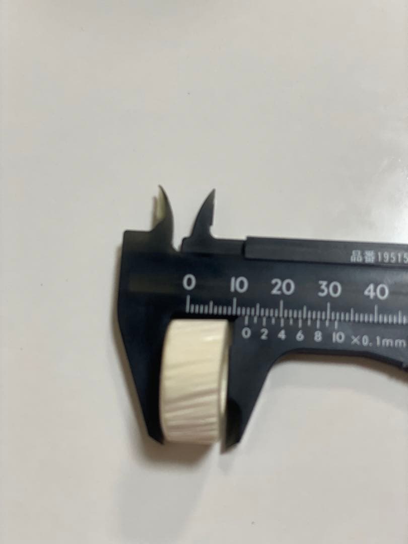 ウニコール　一角　鯨牙　送料無料