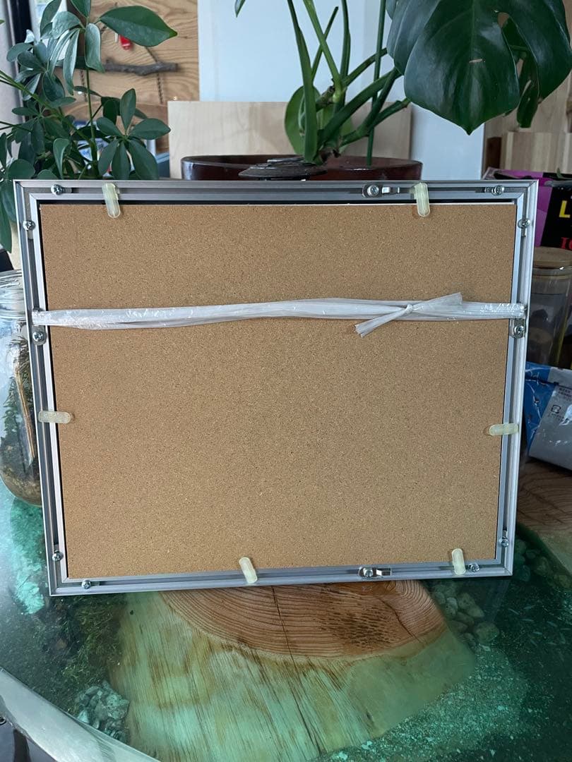 EAR 534 真空管パワーアンプ フォトフレーム