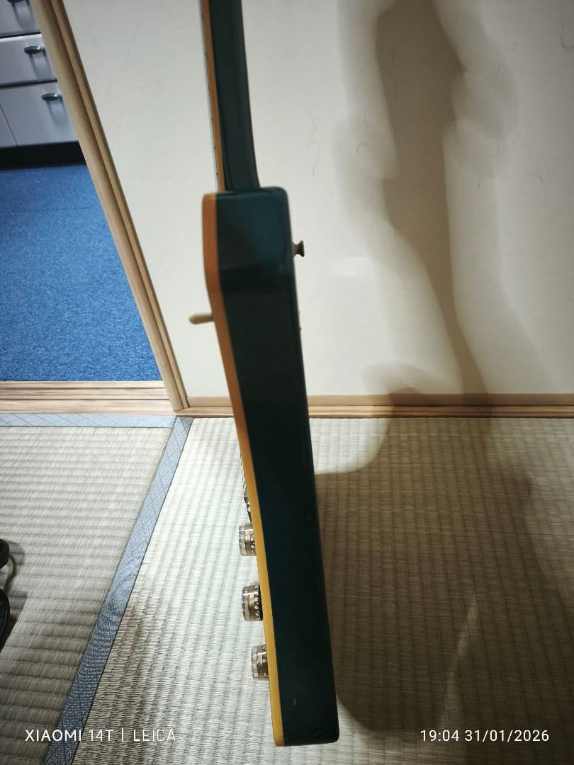 極希少色1983年製Washburn A-20V StagTeal Green - メルカリ