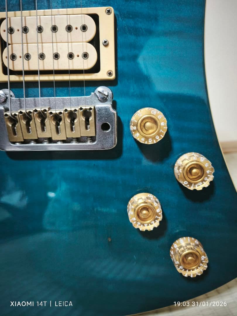 極希少色1983年製Washburn A-20V StagTeal Green - メルカリ