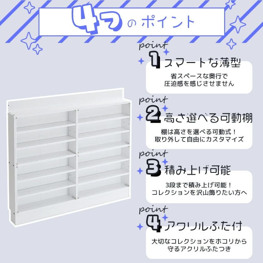 超薄型壁面ラック ダブルタイプ アクリルふた付き 完成品2台セット