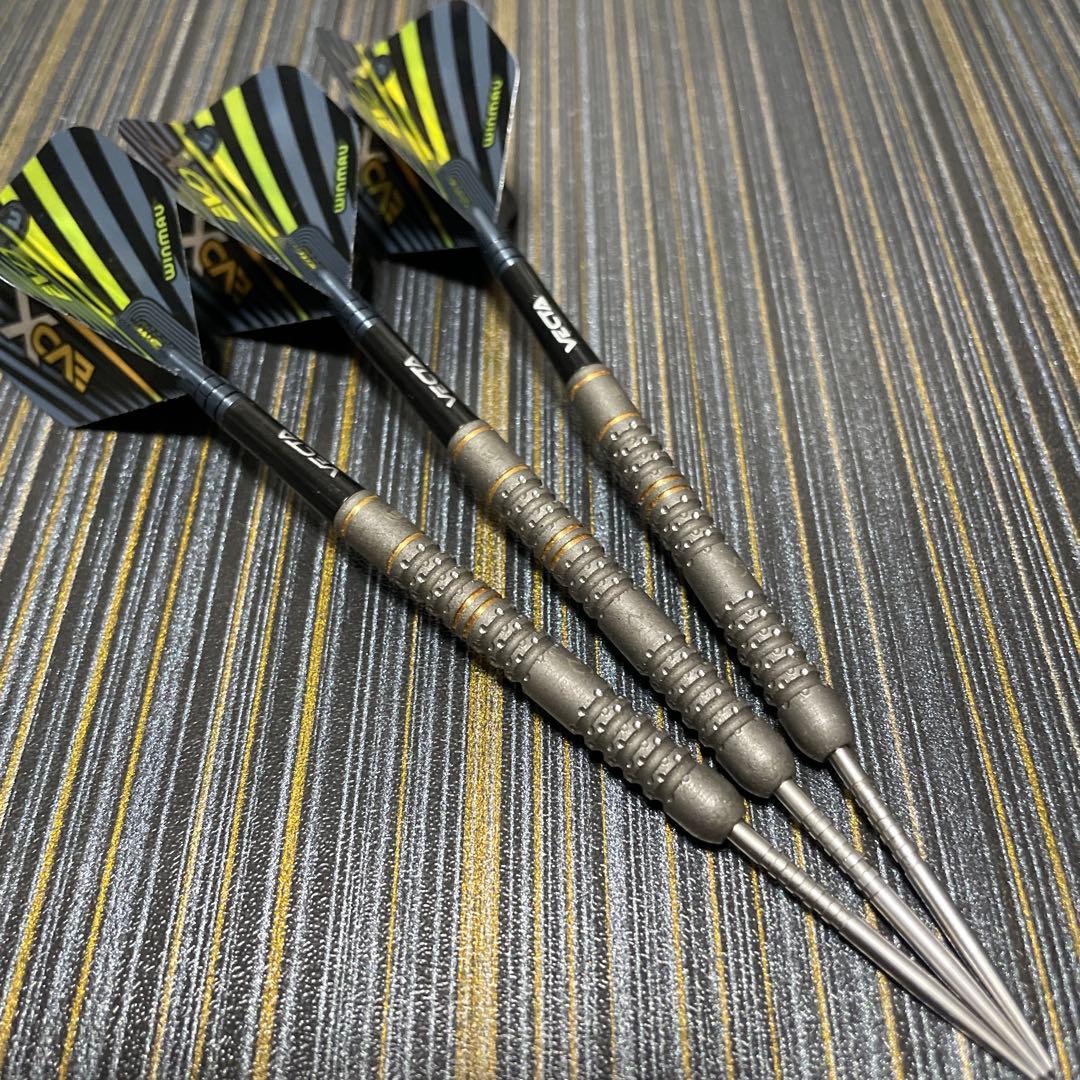 定価約18000円 マイケル ヴァン ガーウェン evo X 22.5g 最新作