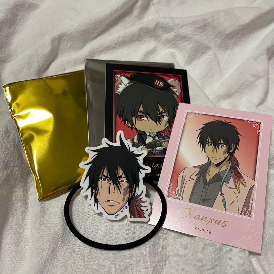 家庭教師ヒットマンREBORN! ザンザス セット - メルカリ