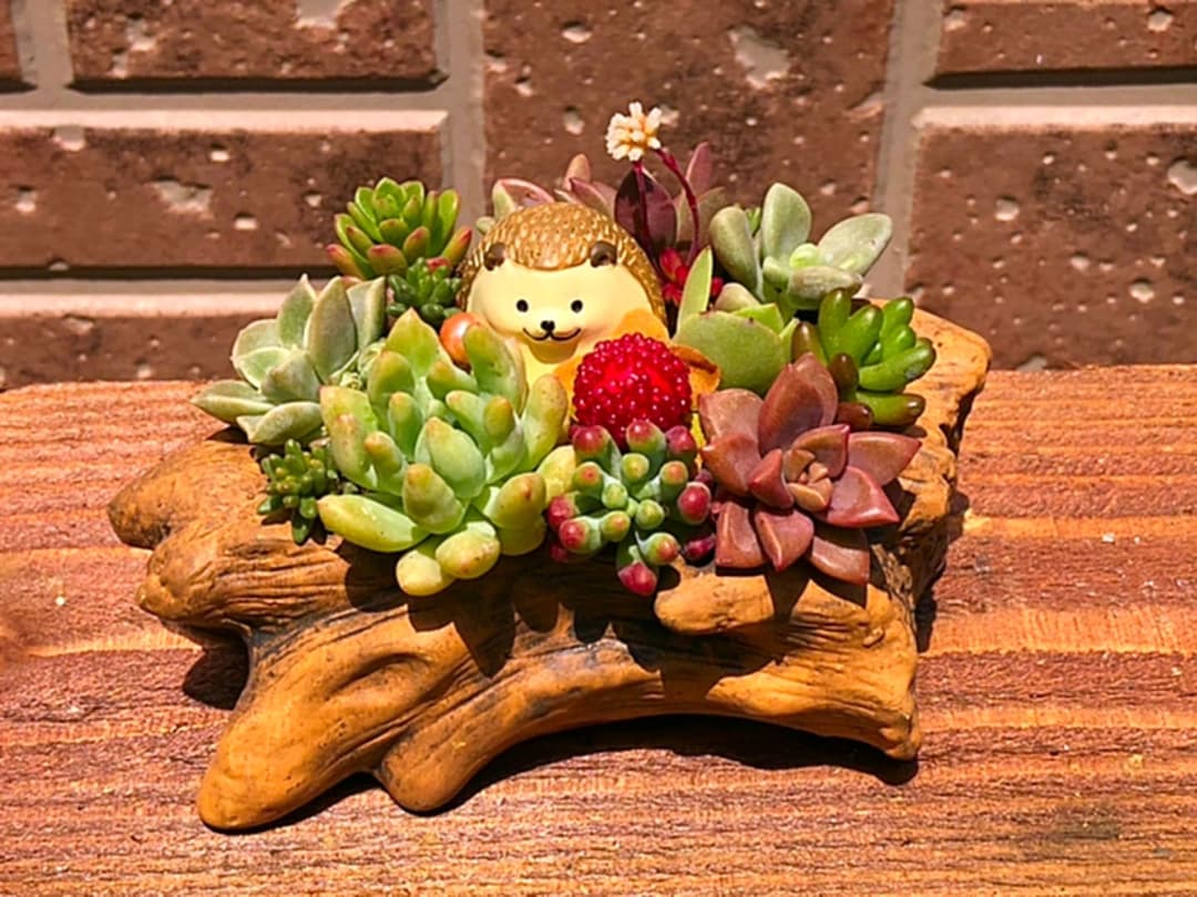 コメント専用です！オーダーお受けしますm(_ _)m