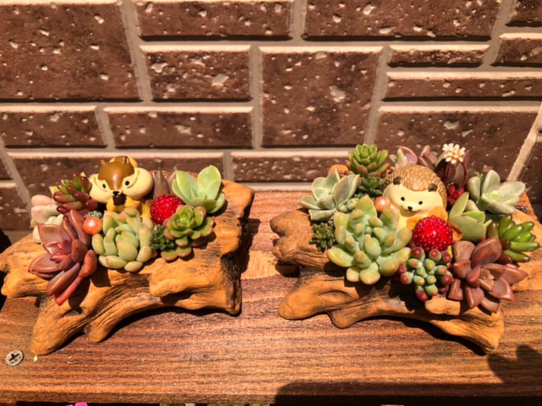 コメント専用です！オーダーお受けしますm(_ _)m