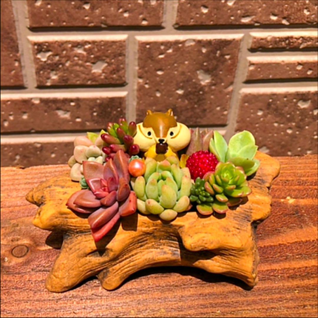 コメント専用です！オーダーお受けしますm(_ _)m