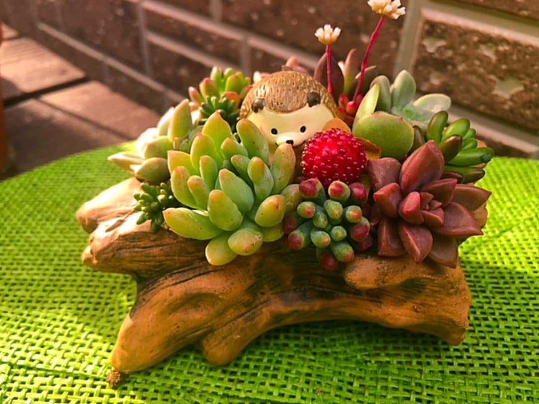 コメント専用です！オーダーお受けしますm(_ _)m