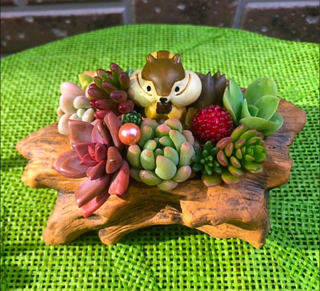 コメント専用です！オーダーお受けしますm(_ _)m