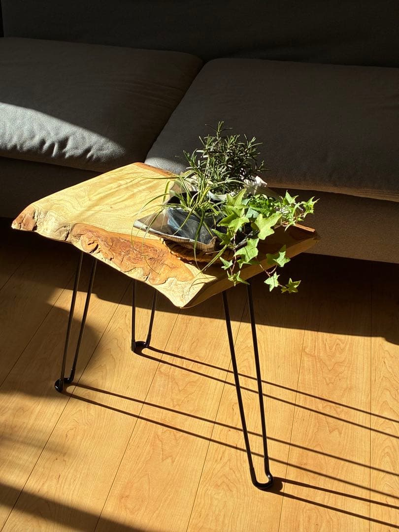 【極上の一枚】 国産楠（くすのき）無垢天然木一枚板サイドテーブル