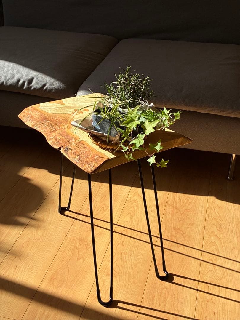 【極上の一枚】 国産楠（くすのき）無垢天然木一枚板サイドテーブル