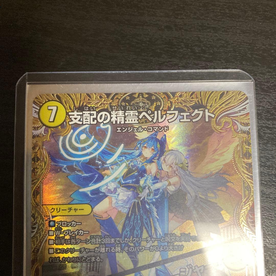 支配の精霊ペルフェクト SP 金トレジャー オマケ付き