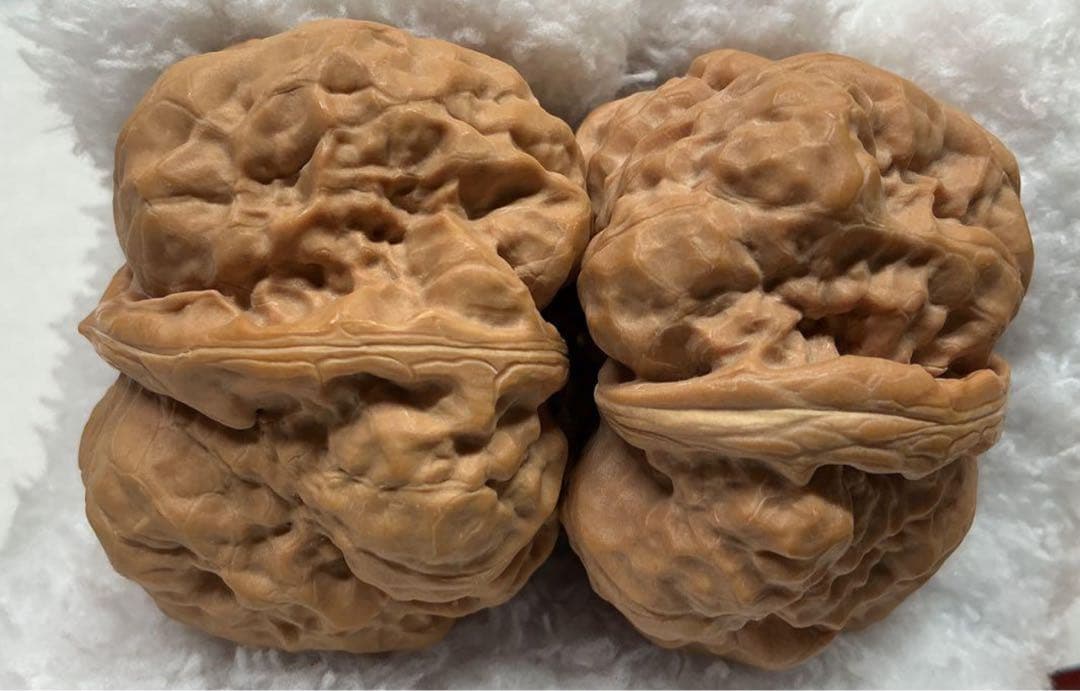 文玩堂：延慶ハマトウ胡桃 超特大サイズ 腹部47mm