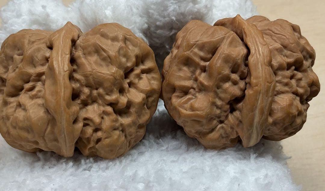 文玩堂：延慶ハマトウ胡桃 超特大サイズ 腹部47mm